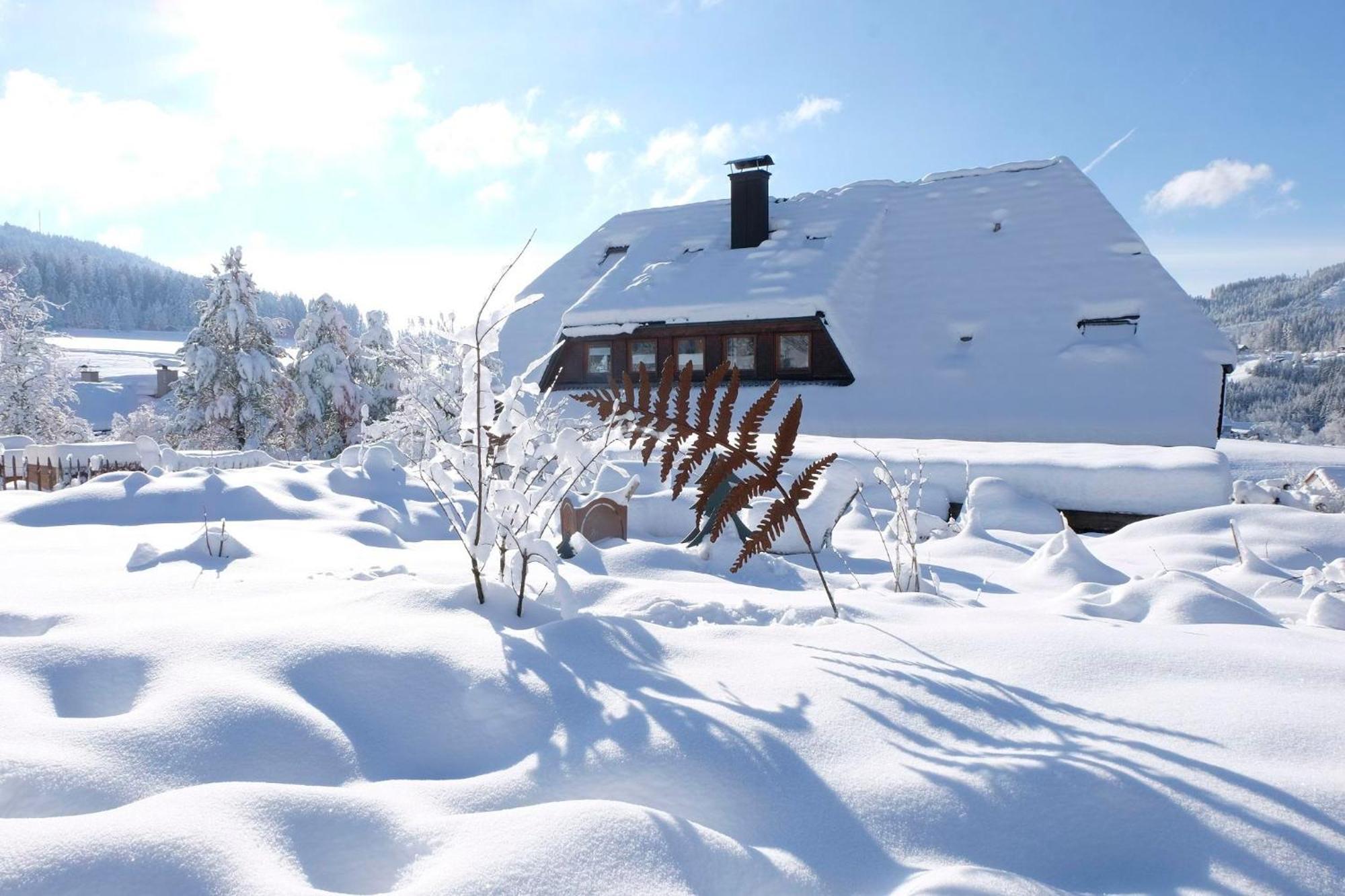 Schwarzwild - Ferienwohnung Und Ferienzimmer Baiersbronn Exterior foto