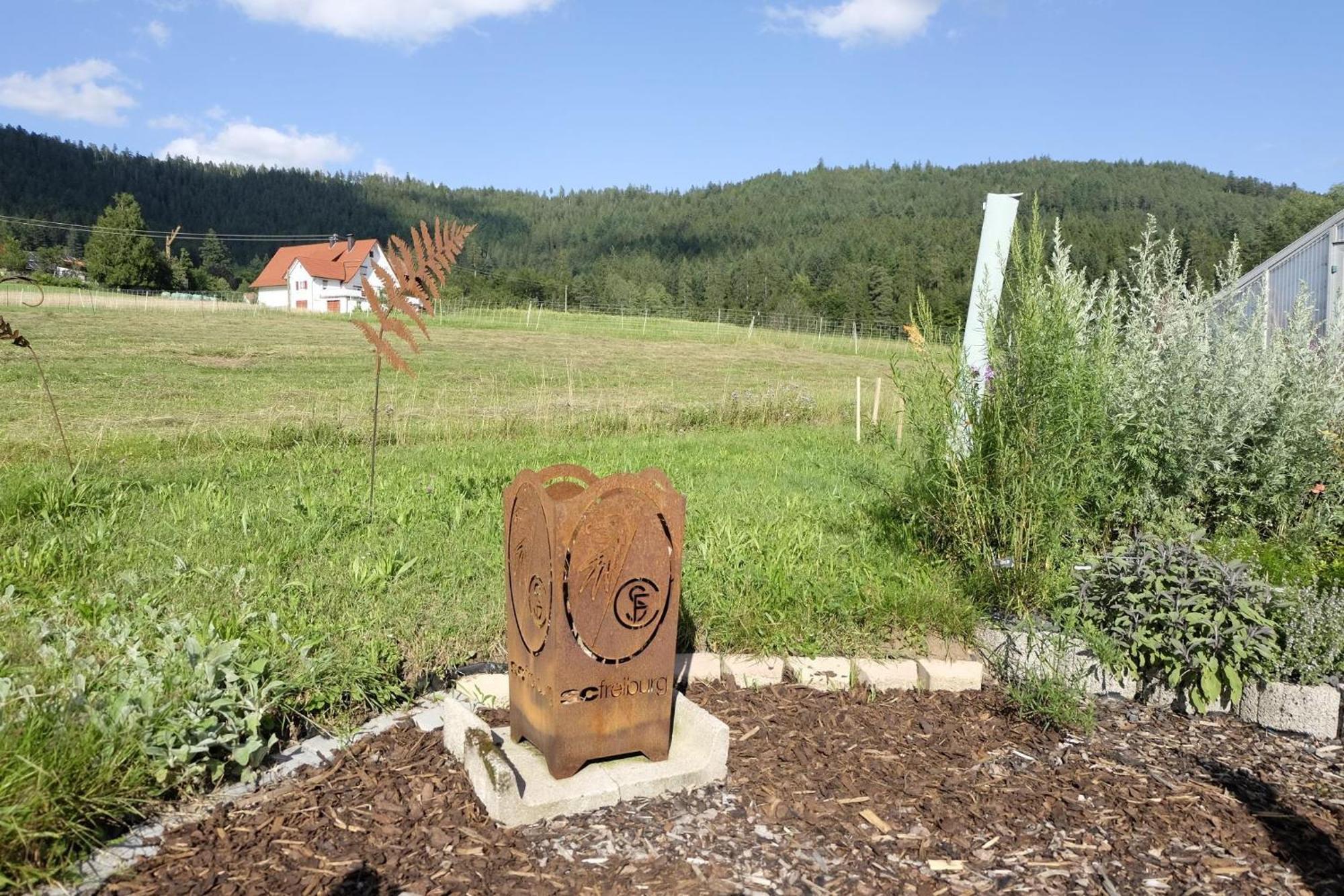 Schwarzwild - Ferienwohnung Und Ferienzimmer Baiersbronn Exterior foto
